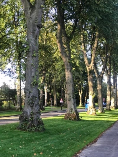 英国,户外,国际著名景点,旅游目的地,图像,垂直画幅,无人,欧洲,贝里克上特威德,西斯特敏斯特教堂