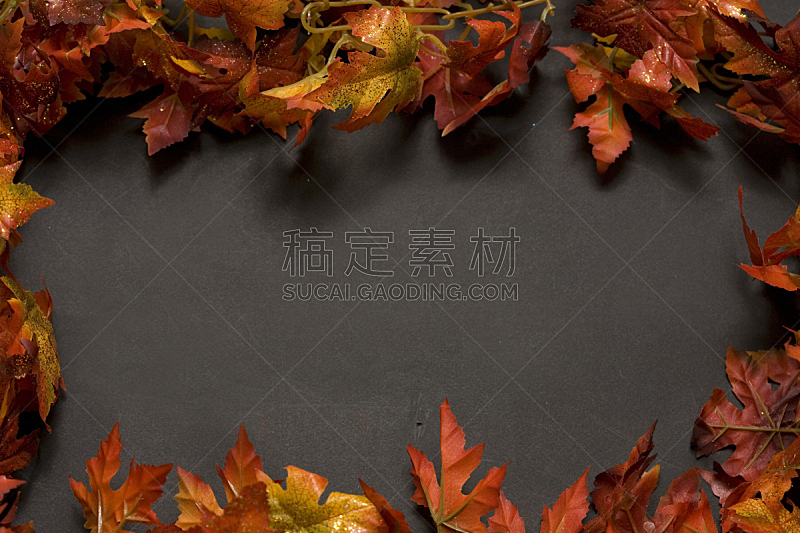 边框,秋天,留白,水平画幅,橙色,植物的组成部分,无人,正上方视角,干的,黑色背景