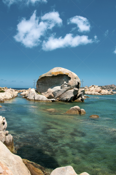 海滩,动物头,章鱼,海岸线,绿松石色,波浪,泻湖,岩石,户外,意大利