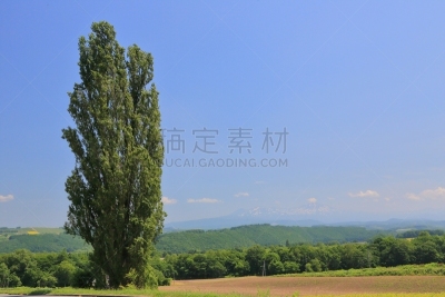 北海道,日本,地形,富良野盆地,自然,水平画幅,山,无人,夏天,度假