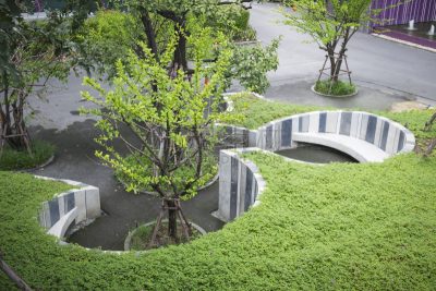公园,自然,美,水平画幅,绿色,景观设计,无人,户外,草,自然美