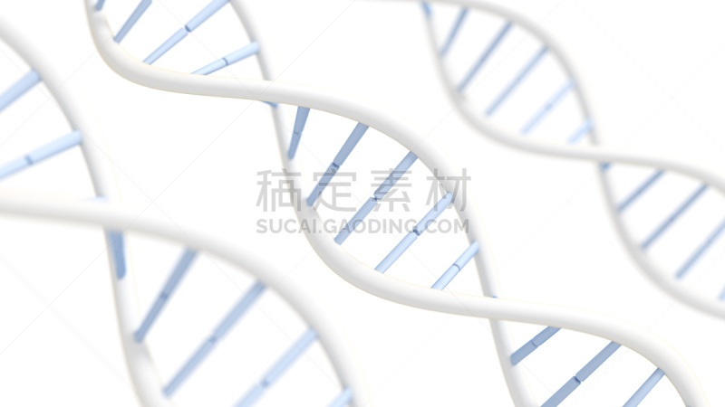 脱氧核糖核酸,分子结构,简单,螺旋模型,大规模的放大,新生活,染色体,植物细胞,生物化学,遗传研究