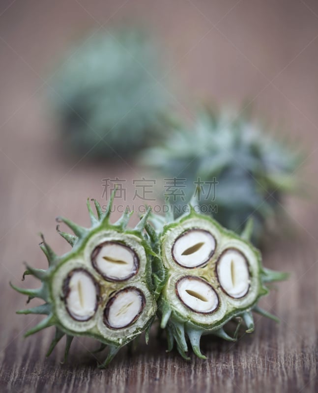 豆,绿色,卡斯托尔,自然,垂直画幅,印度草医学,生物学,甘油三酸酯,孟加拉,植物