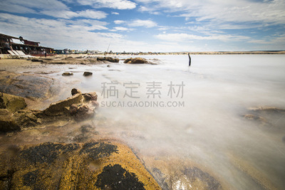 非凡的,乌拉圭,海滩,特拉华,魏斯托神女,寂寞,看,一只动物,公亩,野外动物