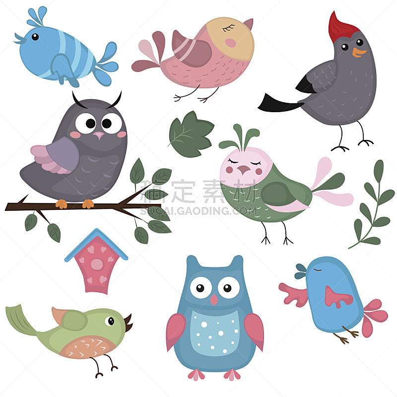 可爱的,鸟类,矢量,野生动物,翅膀,北美歌雀,小的,动物,春天,儿童