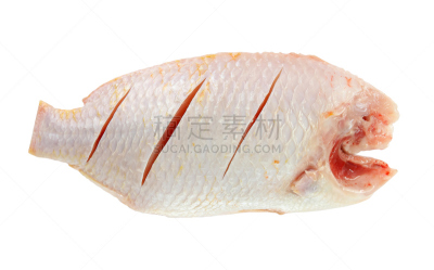 罗非鱼,尼罗河,红色,白色,分离着色,自然,野生动物,水平画幅,无人,非洲