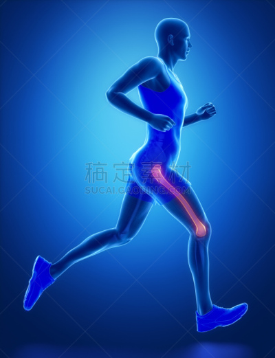 股骨,蓝色,男人,医学扫描,慢跑,腿,坐骨,连枷,四头肌,半月状软骨
