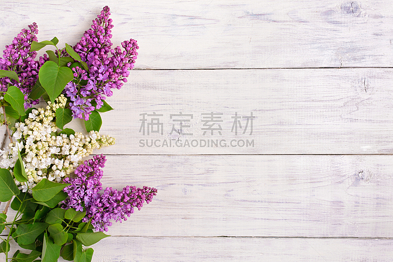 丁香花 木制 背景 俄亥俄河 紫色 边框 芳香的 水平画幅 无人 五月图片素材下载 稿定素材 丁香花 木制 背景 俄亥俄河 紫色 边框 芳香的 水平画幅 无人 五月图片素材下载 稿定素材
