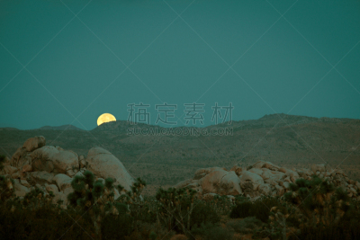 乔舒亚树国家公园,剑水蚤目桡脚类,收获月,莫哈韦沙漠,水平画幅,岩石,无人,岩层,户外,加利福尼亚