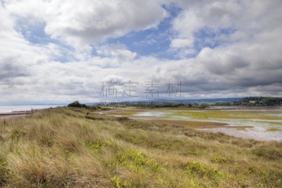 英格兰,多里士,德文郡,度假胜地,水平画幅,沙子,无人,鸟类,湿,户外