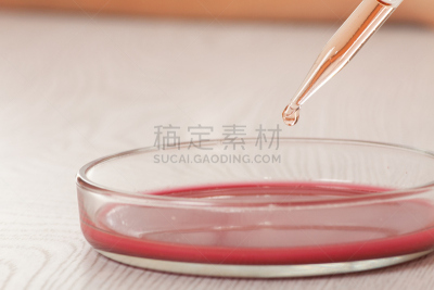 皮氏培养皿,餐具,生物科技,水平画幅,装管,微生物学,无人,科学实验,科学