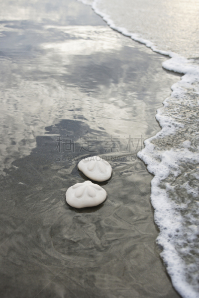 沙钱,海浪,海洋,河岸,米特海滩,南卡罗来那,垂直画幅,水,留白,沙子