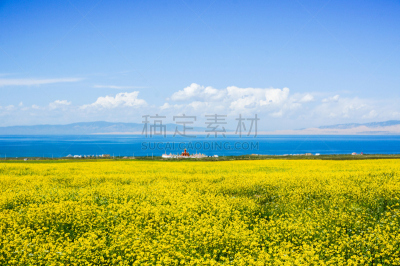 青海湖,风景,俄亥俄河,青海省,油菜花,水,天空,留白,水平画幅,无人