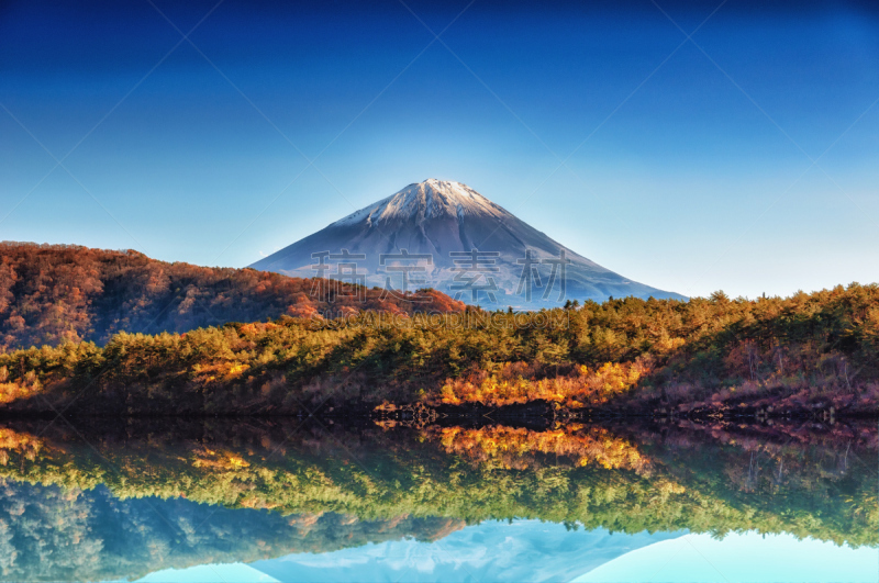 saiko lake,日本,富士山,塔,在上面,自然,非都市风光,湖岸,旅游目的地,水平画幅