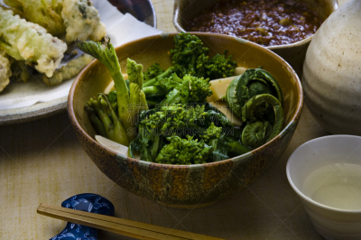 春天,野生植物,含酒精饮料,天麸罗,三赛植物,世界遗产,食品,成分,味噌酱,日本