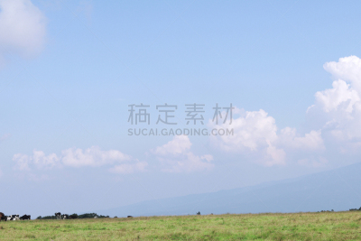 长野县,自然,地形,日本,美原,重要,一只动物,莫斯特,奉承,布置