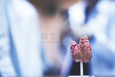 甲状腺,背景聚焦,办公室,水平画幅,会议,健康保健,病人,数据,手