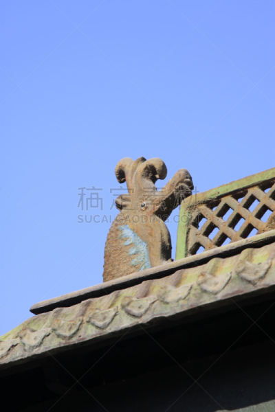 寺庙,特写,动物头,支出,垂直画幅,天空,褐色,古董,艺术,衰老过程