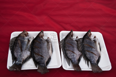 罗非鱼,鱼类,干燥食品,水平画幅,臭,海产,户外,特写,摄影,贩卖