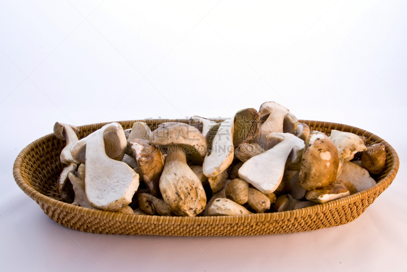 porcini mushroom,季节,背景分离,秋天,健康食物,饮食,食品,图像,草菇,成分