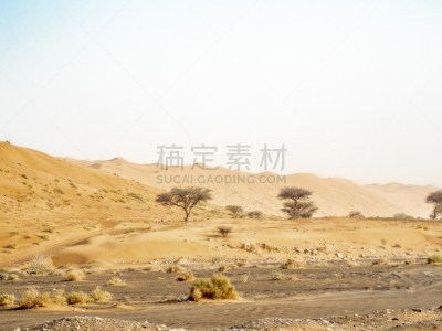 阿曼,wahiba,沙漠,沙丘,两只动物,暴风雨,气候,水平画幅,沙子,夏天