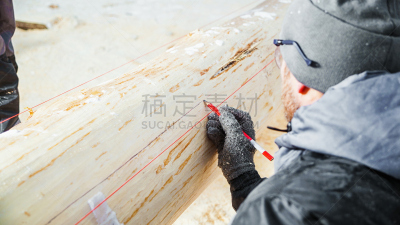 职业,男人,链锯,锯屑,柴火,圆木,农业机器,水平画幅,雪,木材