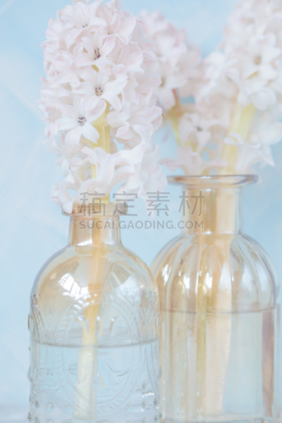 花瓶,粉色,脆弱,情人节,概念,蓝色背景,圣马洛,垂直画幅,美,符号