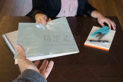 商务,飓风唐娜,马尼拉文件夹,专业人员,中间部分,打印单据,策略,图表