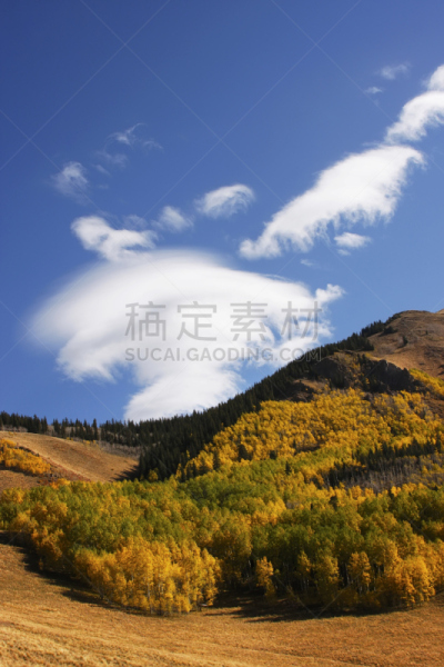 山,科罗拉多州,斯奈佛尔斯山脉,垂直画幅,天空,雪,无人,户外,海登山,叶子
