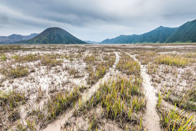 山,平原,背景,在下面,接力赛,云,小路,婆罗摩火山,滕格尔火山,bromo-tengger-semeru national park
