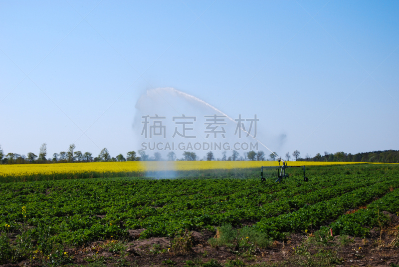 种植园,灌溉设备,水,天空,水平画幅,无人,农业机器,湿,工厂,户外