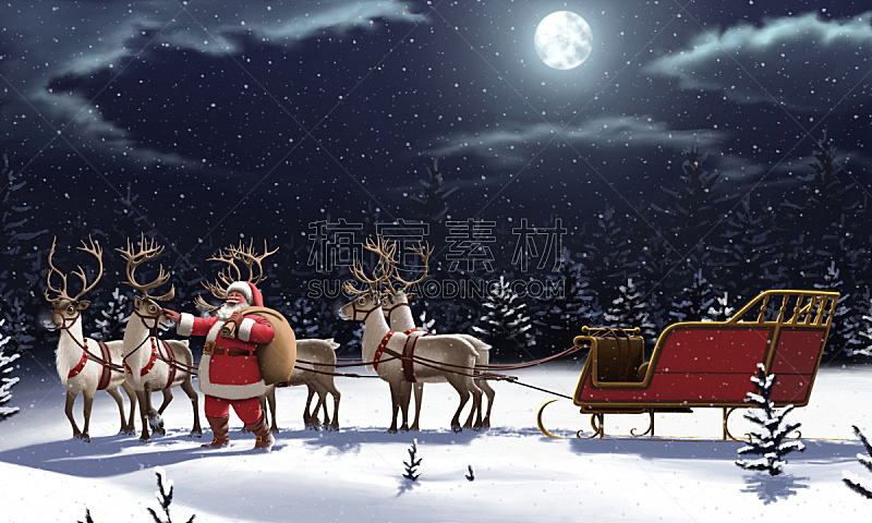 圣诞老人,动物雪车,雪橇,动物挽具,天空,圣诞帽,水平画幅,夜晚,雪