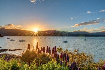 akaroa,云,黄昏,自然美,海岸线,夏天,户外,天空,自然,风景