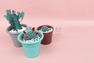 仙人掌,清新,极简构图,彩色蜡笔,肉质植物,粉色背景,三个物体,时髦的,创造力,设计