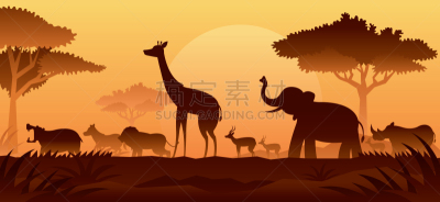 背景,非洲,狩猎动物,斑马,野生动物,泰国,狮子,象,草,动物
