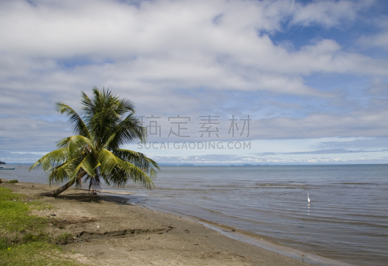 海岸线,棕榈树,自然,天空,水平画幅,沙子,无人,蓝色,利文斯顿,户外