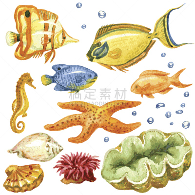 海洋生命,水,海马,绘画插图,水下,野外动物,水族馆,地板,鱼类
