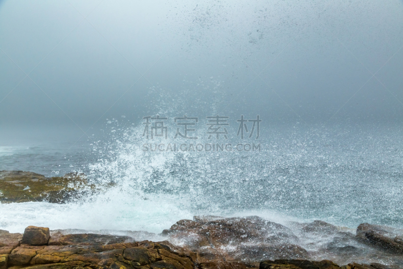 早晨,雾,斯库迪克半岛,阿卡迪亚国家公园,东北方向,缅因州,水,水平画幅,无人,鸟类