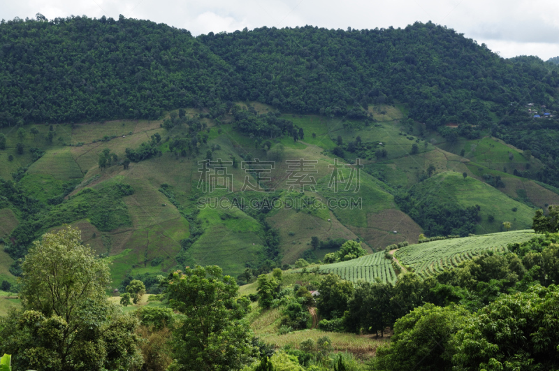 山,绿色,风景,顶部,天空,佛蒙特,水平画幅,枝繁叶茂,旅行者,草