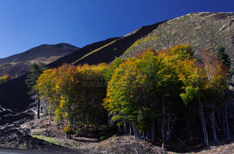 秋天,熔岩,黑色,埃特纳火山,叶子,在底端,圆形,公园,洞,水平画幅