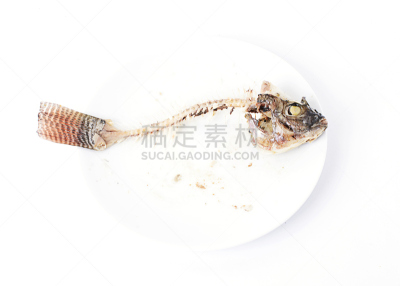白色,主菜盘,特写,自然,垃圾,褐色,水平画幅,贪欲,非洲,膳食