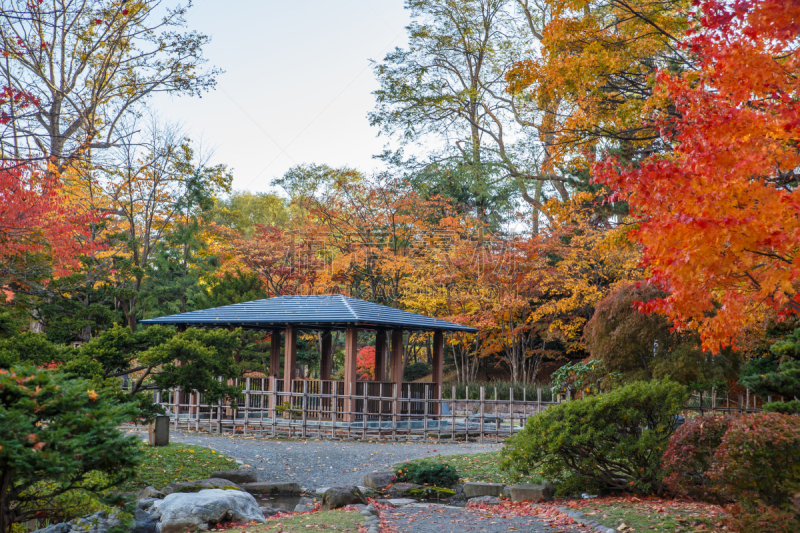 自然美,札幌,日本,秋天,地形,城市,北海道,九月,传统,国内著名景点