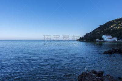 风景,葡萄牙,海滩,家畜,阿拉比达自然公园,海鸥,欧洲,自然,图像,海洋