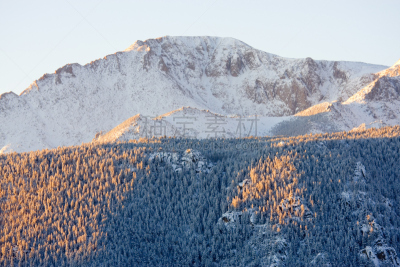 雪,清新,白杨类,极端地形,户外,地形,雪堆,背景,彩色图片,树林