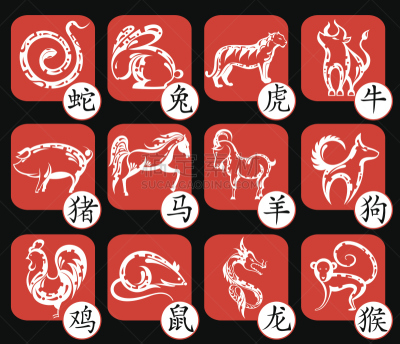 十二生肖,猴子,春节,数字12,蛇,狗,传统节日,猪,山羊,动物