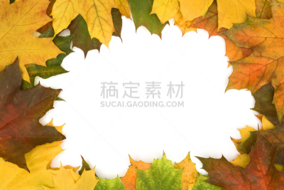 背景,黄绿色,合成图像,水平画幅,无人,组物体,四季,白色,十月,彩色图片