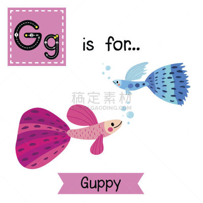 孔雀鱼,痕迹,鱼类,蓝色,粉色,英文字母g,记忆卡,字母表次序,儿童教育,动物