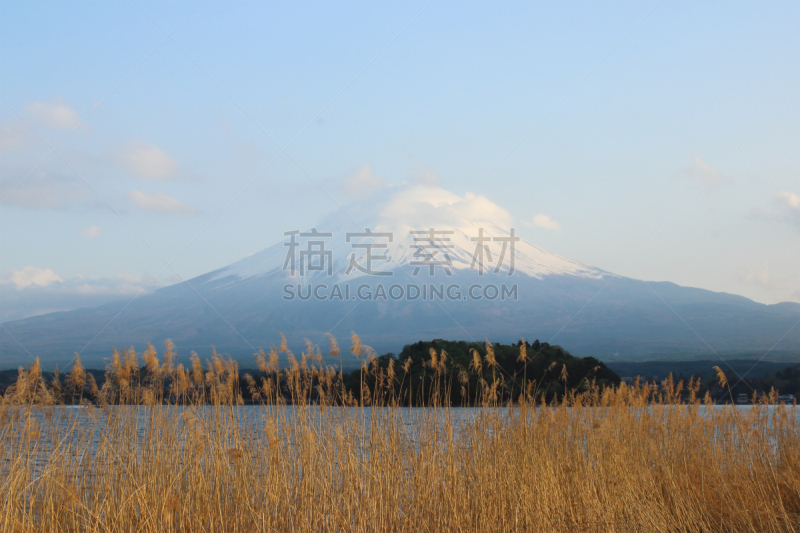 湖,山,富士山,河口湖,富士河口湖,山梨县,水,天空,美,里山