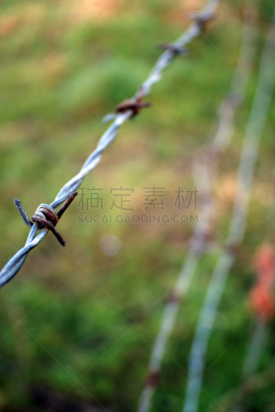 抽象,带刺铁丝网,私人财产标志,刀片刺网,概念和主题,垂直画幅,留白,非都市风光,无人,散焦