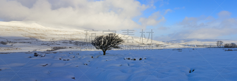 约克郡谷地,冬天,里伯海德高架桥,卡莱尔,高架桥,停泊的,旷野,摩尔人风格,水平画幅,雪